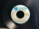 Junior Byles & Rupert Reid - Chant Down Babylon 75 1st Press | 7