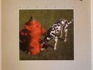RUSH Signals LP Neil Peart Geddy Lee Prog Mercury SRM 1 4063