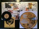 The Black Crowes - Warpaint (Vinyl) Limited Edition picture disc + bonus single