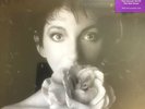 Kate Bush Vinyl Box Set - No 2