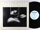 Peter Fish - The Silver Apple LP - Ellipsoid  VG+
