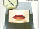 Red Hot Chili Peppers Greatest Hits [Current Pressing] LP Vinyl Record Album