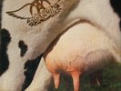 Aerosmith Get A Grip NEAR MINT Geffen Vinyl LP