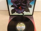 Thin Lizzy ?– Black Rose Vinyl 12