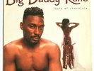 BIG DADDY KANE - Taste of Chocolate 1990 Hip Hop Cold Chillin LP VG+/VG