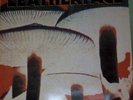 LEATHERFACE mush LP vinyl 1991 Frankie Stubbs with lyric inner sleeve