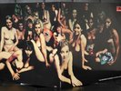 The Jimi Hendrix Experience - Electric Ladyland - 2xLP - 2612 037