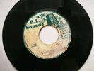 BARRINGTON LEVY - DEEP IN THE DARK // VERSION [ B. L SOUNDS ]     [ DEK254 ]