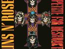 Guns N' Roses Appetite For Destruction 2 x LP 180 Gram Vinyl Album DELUXE RECORD