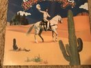Glen Cambell Rhinestone Cowboy Original Textured Lp First Press Rare