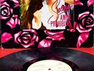 Selena Amor ProhibidoSello:EMI Latin–33493 Vinyl LP DIDECA PRESS Hard To Find