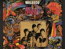 FLAT EARTH SOCIETY: Waleeco LP (UK, 180 gram re, close to M-) Rock & Pop