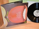 GENTLE GIANT - ACQUIRING THE TASTE      VERTIGO SWIRL - RECORDS  Prog Rock