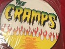 The Cramps Smell Of Female Limited Edition Picture Disc Big Beat Rare Punk Lp