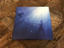Foals Total Life Forever Vinyl - 2 Records - Very Gently Used