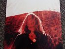 Ty Segall Manipulator 12