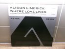 Alison Limerick - Where Love Lives - rare 1990 12