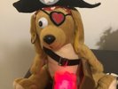 Sonny And Cher I Got You Babe Animated Valentine Dog Plush