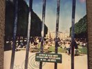 Tame Impala Lonerism Signed By Kevin Parker Vinyl LP Record