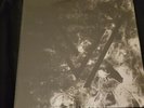THE BLACK QUEEN FEVER DAYDREAM  limited white vinyl sealed