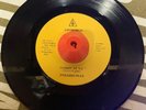 Pryamid Plus - Comin’ At Ya Lifeworld LW1331 Rare Funk 45 Electro Vocoder Sound
