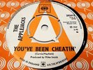 THE APPLEJACKS 'You've Been Cheatin' 7-Inch Vinyl Single **DEMO**PROMO** - W61