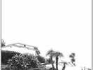 Timber Timbre - Hot Dreams - LP Vinyl - New
