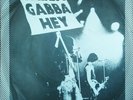 Ramones - Swallow My Pride UK 1977 Sire Records 7