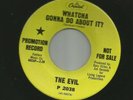 GARAGE PUNK FUZZ- the EVIL -WHATCHA GONNA DO ABOUT IT  -HEAR - 1967 DJ CAPITOL