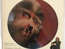 1978 Warren Zevon Picture Disc Werewolves Of London  12 “ Single Promo Only