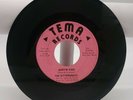 THE BITTERSWEETS Hurtin Kind   Summertime 1967 TEMA RECORDS 45 PXT-001 VG+ - NM