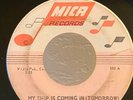 Northern Soul 45 The Pace Setters My Ship Is Coming In on Mica HEAR
