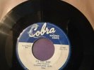 SUNNYLAND SLIM orig 1957 US 7