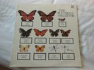 Vinyl Lp  THE JAM - THE BUTTERFLY COLLECTOR  JM005  1980 US