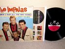 THE IMPALAS Sorry (I Ran All The Way Home) LP Rare Orig MONO Cub Doo Wop NICE