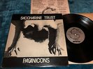 RARE 1981 SACCHARINE TRUST PAGANICONS LP 1ST PRESS SST-006 VG+ PUNK HARDCORE KBD