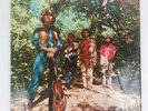 CREEDENCE CLEARWATER REVIVAL Green River Fantasy 8393 original record album