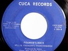 HEAR IT 50's Wis. Garage Rocker 45 rpm Willie Tremain's Thunderbirds CUCA 1001