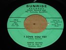 OHIO BLUEGRASS HILLBILLY 45 - JIMMY HOWARD & KY. RAMBLERS - SUNRISE RECORDS