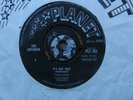 UNTAMED - IT'S NOT TRUE GIMME,GIMME SOME SHADE 1965 PLANET MOD/BEAT ORIG SLEEVE