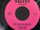 Northern Soul Funk DELORIS EALY How I Wish You Were Mine VELVET 108 NM