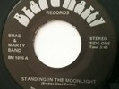 Rare 1981 ? Private Press Power Pop Garage Surf 45 BRAD & MARTY BAND Obscure NM