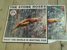 The Stone Roses    What The World Is Waiting For / Fools Gold 9.53  12