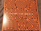 Jimmy Eat World: Surviving Vinyl Record