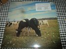 Vintage LP  Pink Floyd  Dark Side Of The Moo Sealed