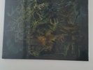 King Gizzard And The Lizard Wizard Murder Of The Universe Vomit Coffin Ed. FLT33