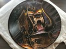 Motörhead – Orgasmatron – Picture LP / Pic – LP / Picture Disc