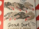 Goat Girl - Cracker Drool  - 7 Inch - rare - Signed - Rough Trade