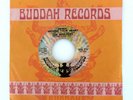 THE MONITORS 45 Fence Around Your Heart /Have You Seen BUDDAH Rec '72 A+ Hear