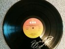 Vinyl 12